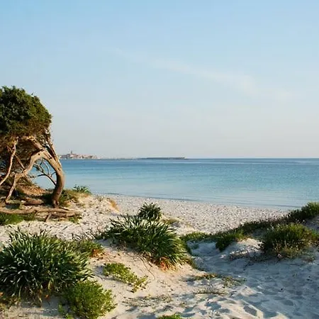 Green * Alghero